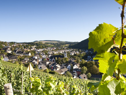 View of Waldrach